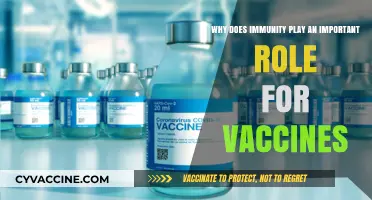 Immunity's Vital Role: Understanding Vaccines' Power in Disease Prevention