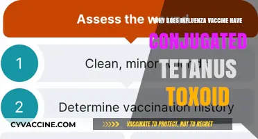 Understanding the Role of Conjugated Tetanus Toxoid in Influenza Vaccines