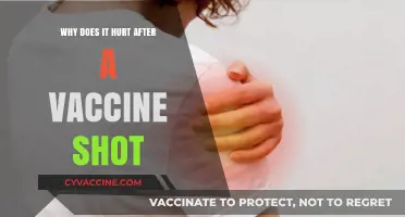 Vaccine Soreness Explained: Understanding Post-Shot Pain and Its Causes