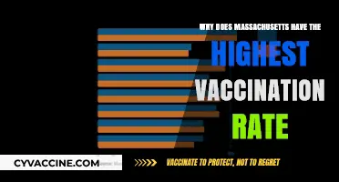 Massachusetts' Vaccination Success: Unpacking the State's Leading Immunization Rates