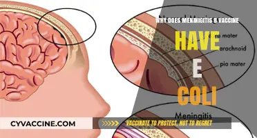 Why Meningitis B Vaccine Contains E. coli: Unraveling the Science