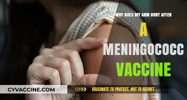 Meningococcal Vaccine Side Effects: Understanding Arm Pain After Vaccination