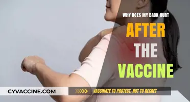 Post-Vaccine Back Pain: Causes, Concerns, and Relief Strategies Explained