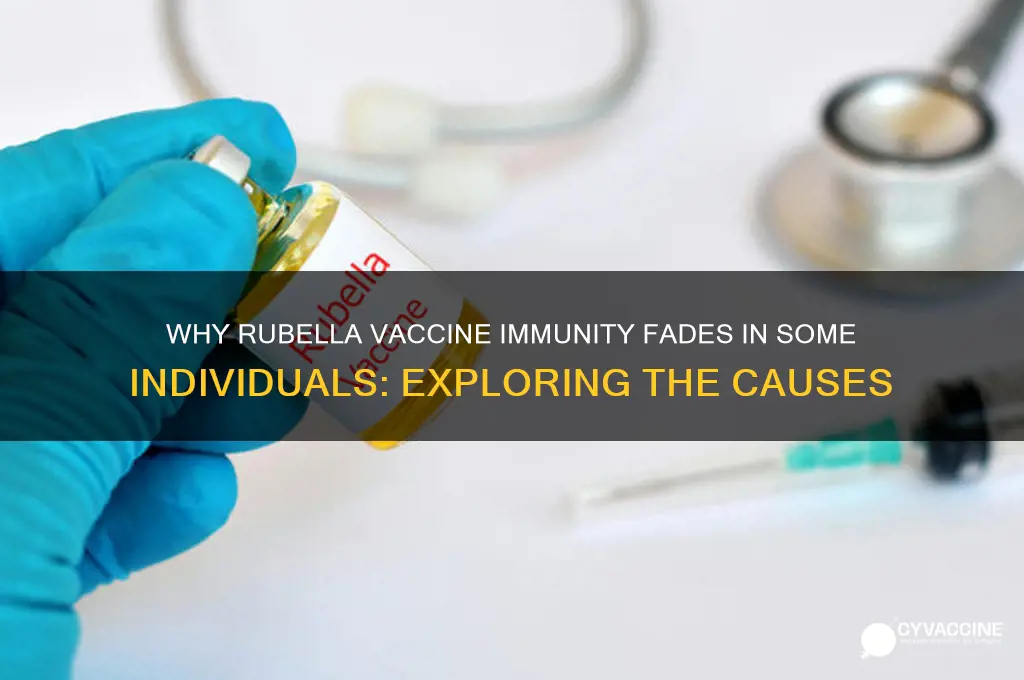 why does my body not kep rubella vaccine in me