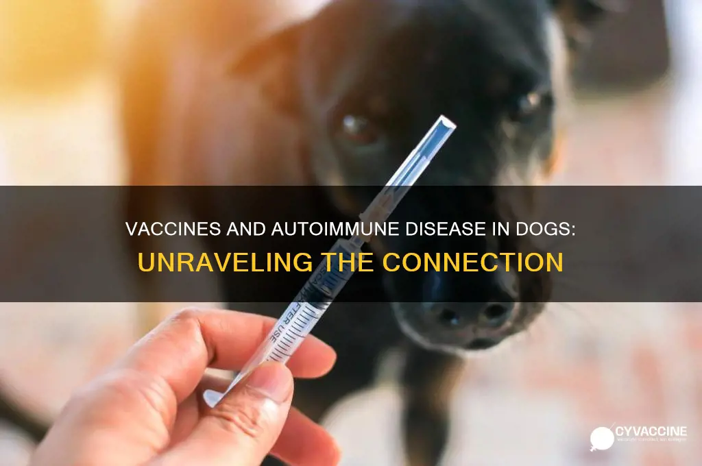 why does my dig have autoimmune disease after vaccines