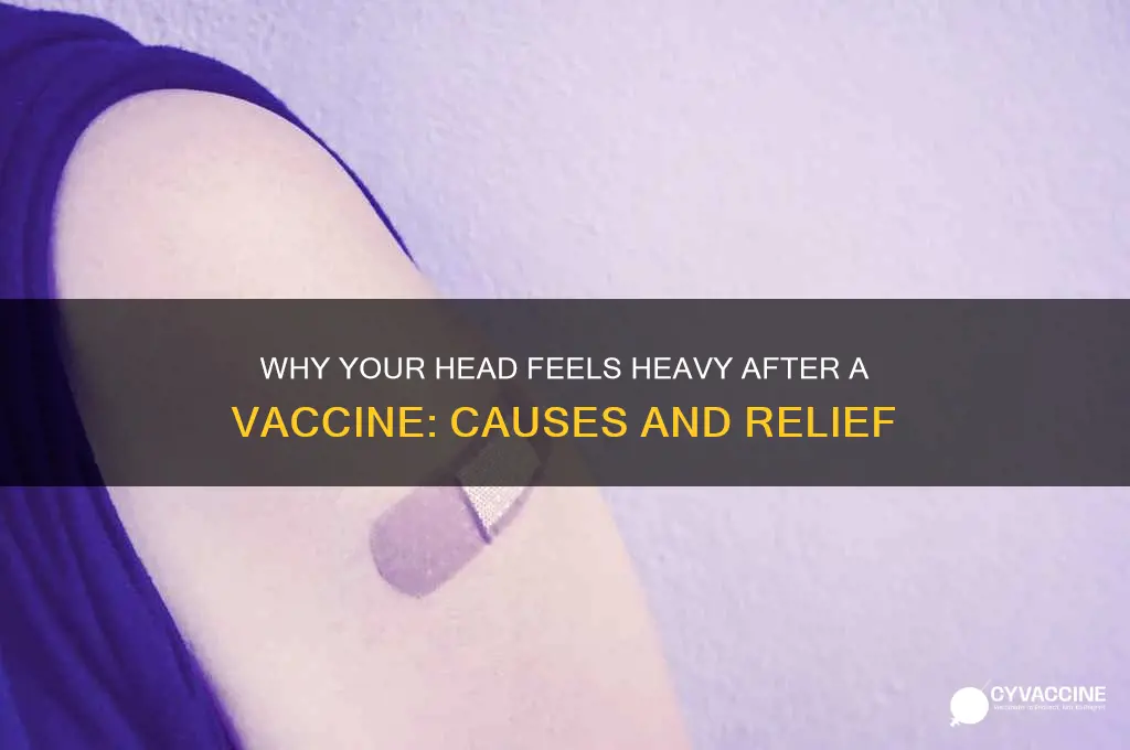 why does my head feel heavy after vaccine