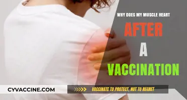 Post-Vaccination Muscle Pain: Understanding Causes and Relief Strategies