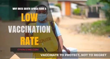 Understanding South Africa's Low Vaccination Rate: Challenges and Solutions