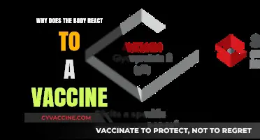 Understanding Vaccine Reactions: How Your Body Responds to Immunization