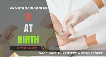 Why CDC Recommends Hepatitis B Vaccine at Birth: Key Insights