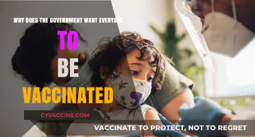 Why Governments Prioritize Universal Vaccination: Public Health and Policy Insights
