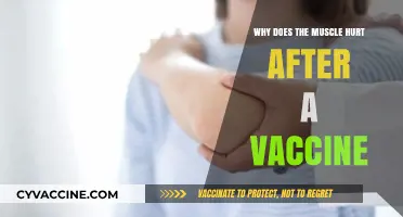Post-Vaccine Muscle Pain: Understanding the Science Behind the Soreness