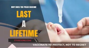 Why Polio Vaccine Offers Lifelong Immunity: Science Explained