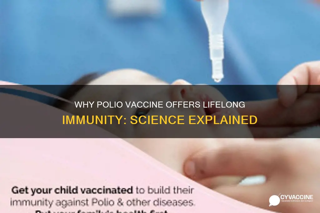 why does the polio vaccine last a lifetime