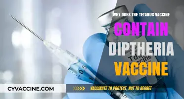 Why Tetanus Vaccines Often Include Diphtheria Protection: Explained