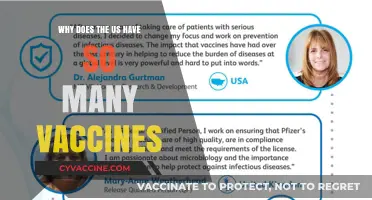 Why the US Leads in Vaccines: A Comprehensive Exploration