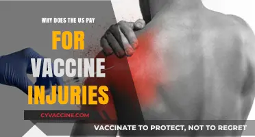 Understanding the US Vaccine Injury Compensation Program: Why It Exists