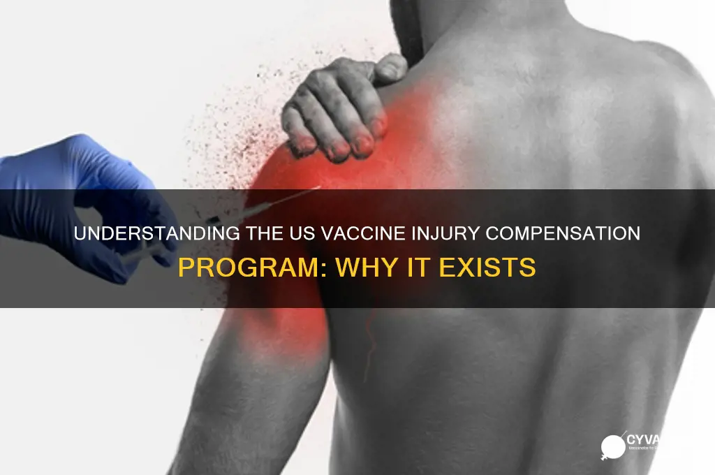why does the us pay for vaccine injuries
