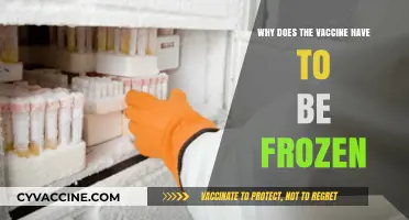 Why Vaccines Need Freezing: The Science Behind Cold Storage
