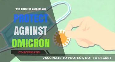 Omicron's Evasion: Why Current Vaccines Offer Limited Protection