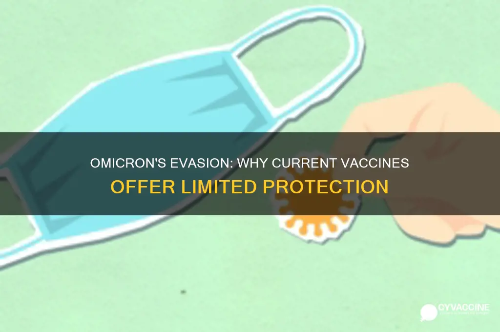 why does the vaccine not protect against omicron