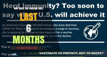 Why COVID-19 Vaccines Wane: Understanding 6-Month Immunity Decline