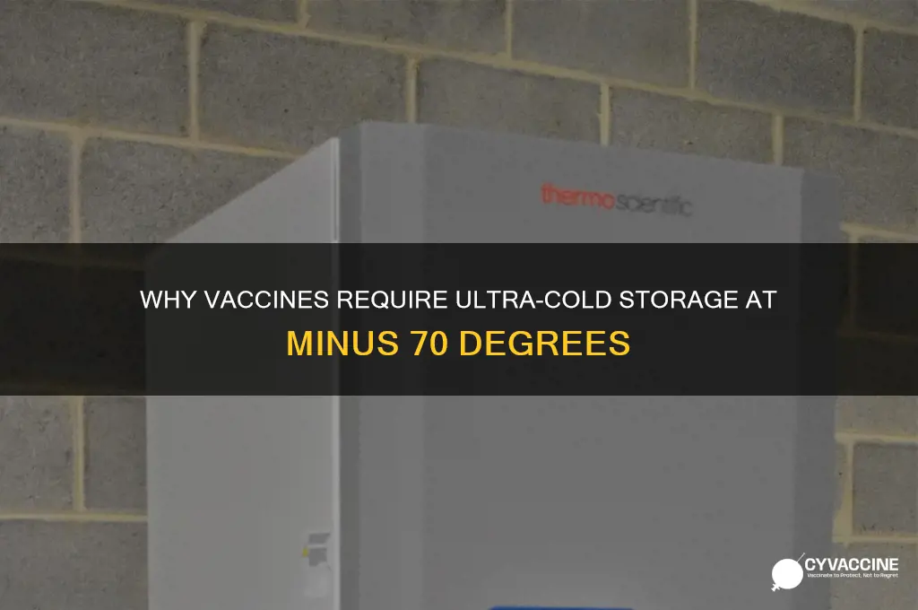 why does vaccine have to be stored at minus 70