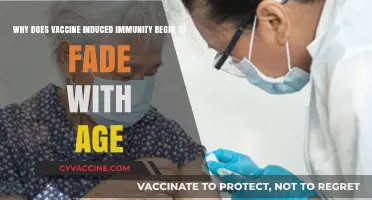 Aging and Immunity: Why Vaccine Protection Weakens Over Time