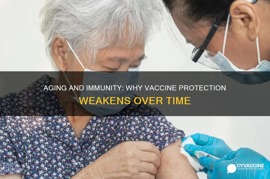 why does vaccine induced immunity begin to fade with age