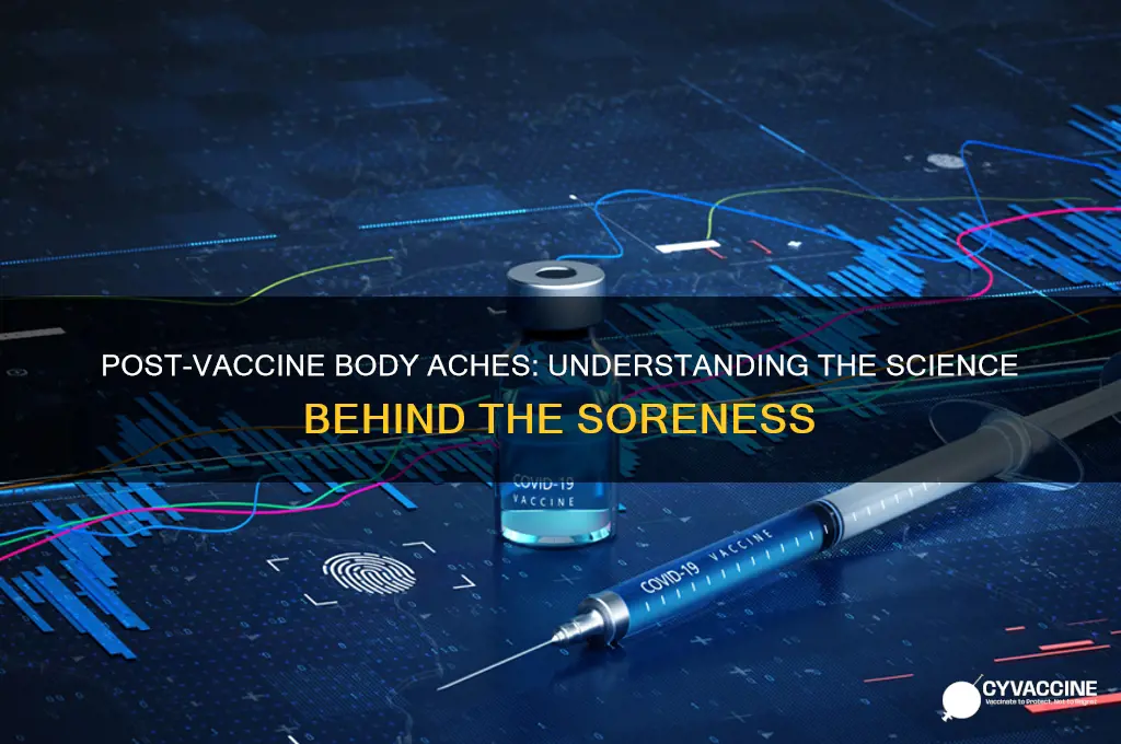 why does your body ache after a vaccine