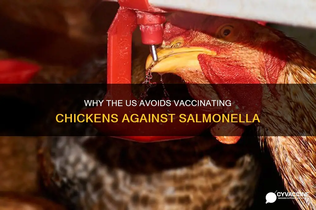 why doesn t the us vaccinate chickens against salmonella