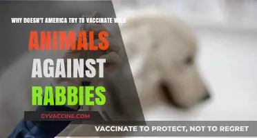 Why America Isn't Vaccinating Wild Animals Against Rabies: Explained