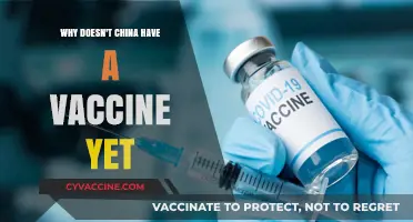 China's COVID-19 Vaccine Delay: Unraveling the Reasons Behind the Wait