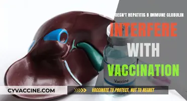 Hepatitis B Immune Globulin: Why It Doesn't Impact Vaccine Efficacy