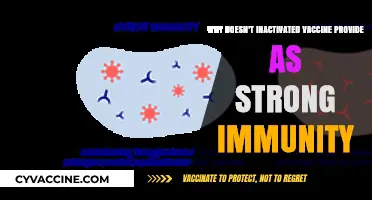 Why Inactivated Vaccines Offer Weaker Immunity: Key Factors Explained