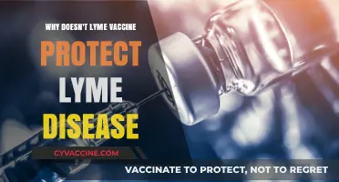 Why Lyme Vaccines Fail: Unraveling the Protection Puzzle