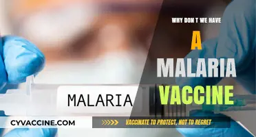 The Elusive Malaria Vaccine: Challenges and Ongoing Research Efforts