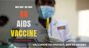 The Elusive AIDS Vaccine: Challenges and Ongoing Scientific Pursuit