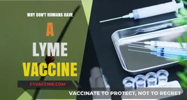 Why Don't Humans Have a Lyme Vaccine Yet?
