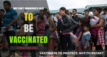 Unvaccinated Immigrants: Debunking Myths and Understanding Legal Realities