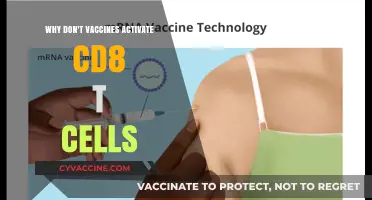 Why Vaccines Often Fail to Activate CD8 T Cells