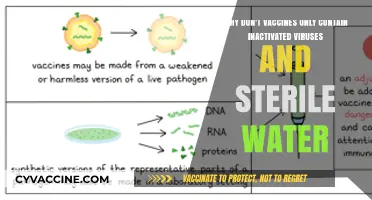 Beyond Inactivated Viruses: Understanding Vaccine Components and Their Roles