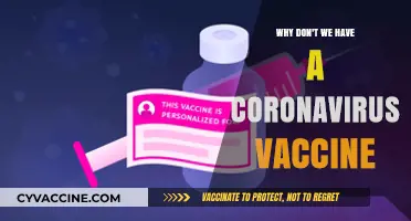 Why Don't We Have a Coronavirus Vaccine Yet? Challenges Explained