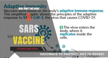 The Missing SARS Vaccine: Unraveling the Scientific and Societal Barriers