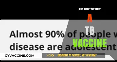 Why Don't We Have a TB Vaccine? Unraveling the Complexities