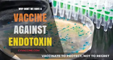 Why Don't We Have a Vaccine Against Endotoxin Yet?