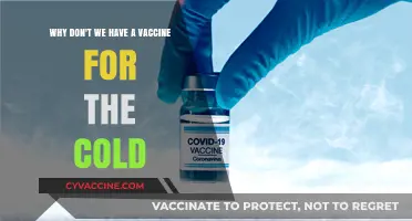 Why Cold Vaccines Remain Elusive: Unraveling the Scientific Challenges