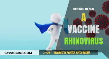 Why Rhinovirus Remains Unvaccinated: Challenges and Scientific Hurdles Explained