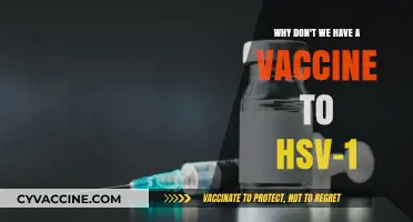 The Elusive HSV-1 Vaccine: Challenges and Ongoing Research Explained