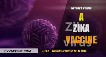 Why Don't We Have a Zika Vaccine Yet? Unraveling the Challenges